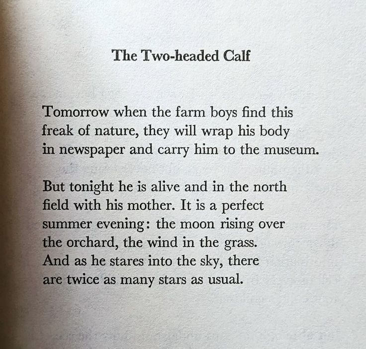 Two-Headed Calf Poem
